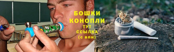 прущий лед Арсеньев