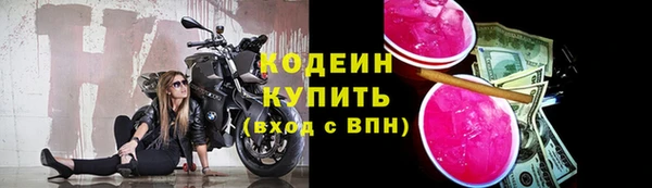 прущий лед Арсеньев