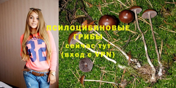 прущая мука Аркадак